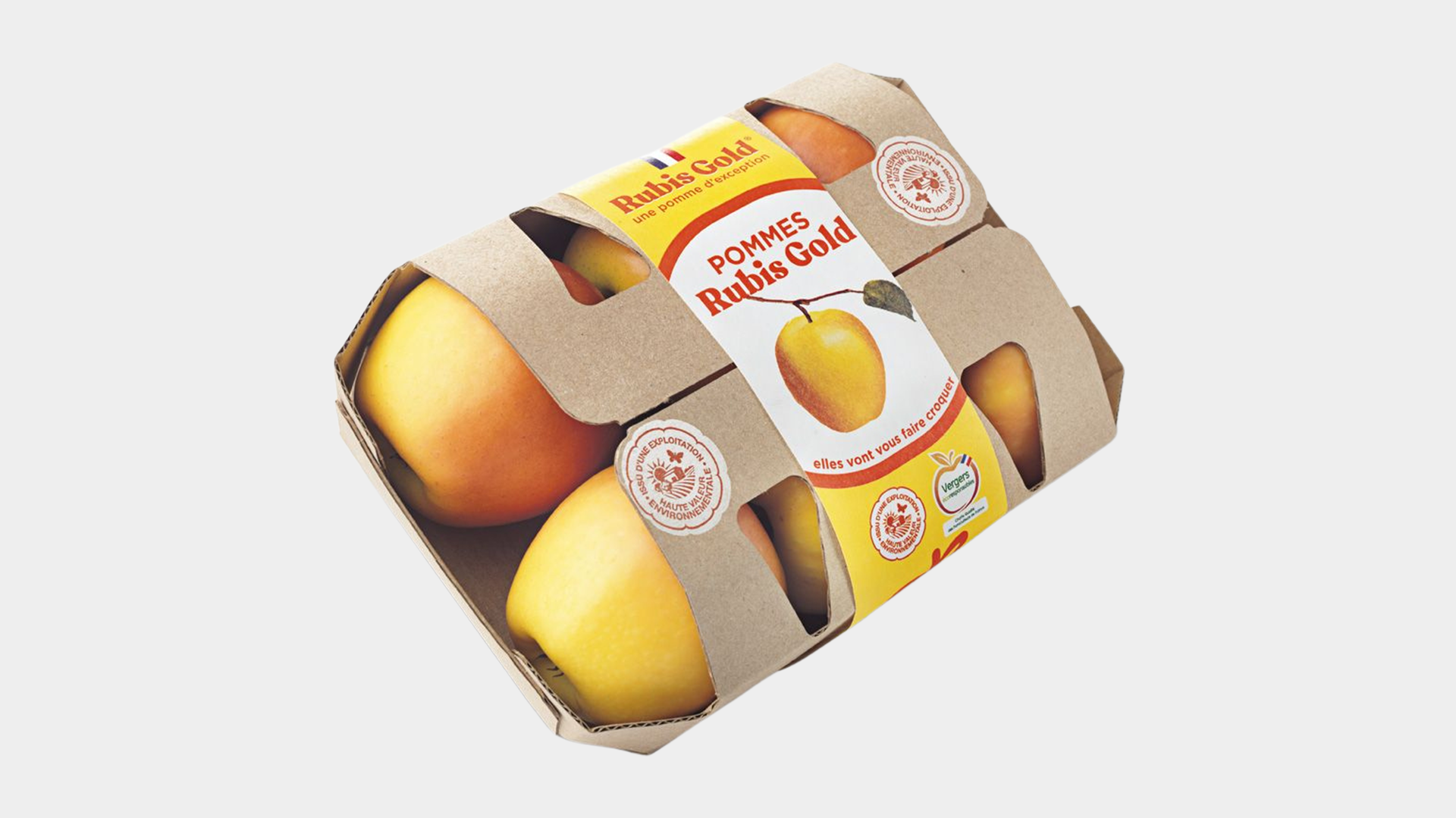Banding: Smart Packaging for a Sustainable Future